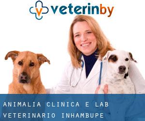 Animalia Clínica e Lab Veterinário (Inhambupe)