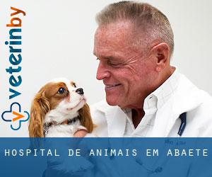 Hospital de animais em Abaeté