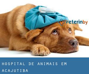 Hospital de animais em Acajutiba