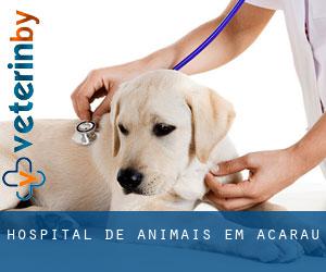 Hospital de animais em Acaraú