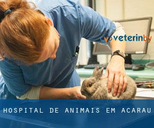 Hospital de animais em Acaraú