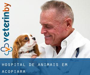 Hospital de animais em Acopiara