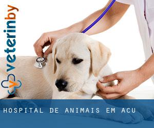 Hospital de animais em Açu
