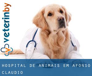 Hospital de animais em Afonso Cláudio
