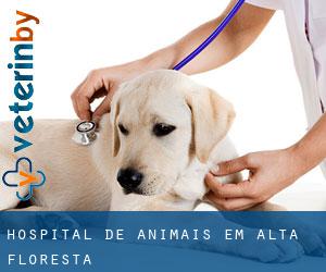 Hospital de animais em Alta Floresta