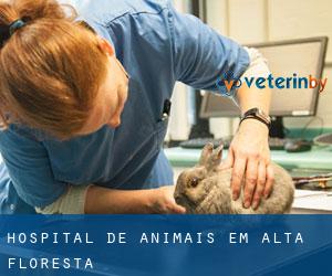 Hospital de animais em Alta Floresta
