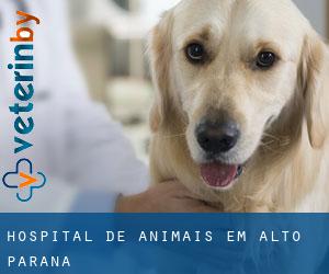 Hospital de animais em Alto Paraná
