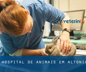 Hospital de animais em Altônia