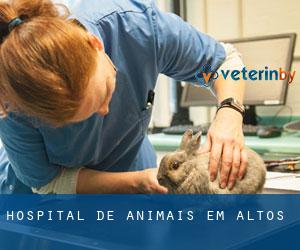 Hospital de animais em Altos