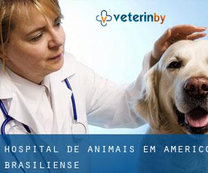 Hospital de animais em Américo Brasiliense