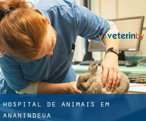 Hospital de animais em Ananindeua