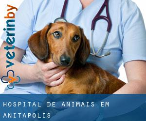 Hospital de animais em Anitápolis