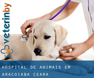 Hospital de animais em Aracoiaba (Ceará)