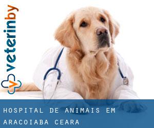 Hospital de animais em Aracoiaba (Ceará)