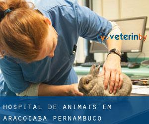 Hospital de animais em Araçoiaba (Pernambuco)