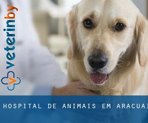 Hospital de animais em Araçuaí