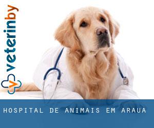 Hospital de animais em Arauá