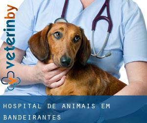 Hospital de animais em Bandeirantes