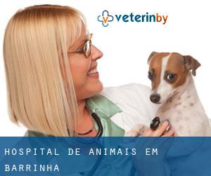 Hospital de animais em Barrinha