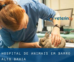 Hospital de animais em Barro Alto (Bahia)