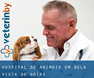 Hospital de animais em Bela Vista de Goiás