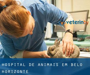 Hospital de animais em Belo Horizonte
