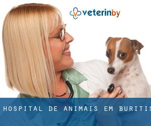 Hospital de animais em Buritis