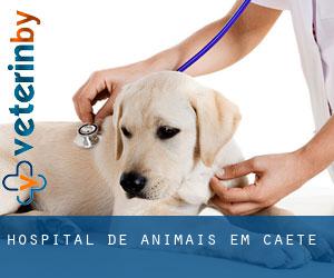 Hospital de animais em Caeté