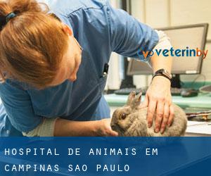 Hospital de animais em Campinas (São Paulo)