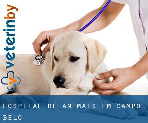 Hospital de animais em Campo Belo