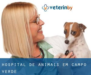 Hospital de animais em Campo Verde