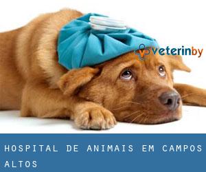 Hospital de animais em Campos Altos Hospital de animais em Campos Altos