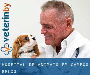 Hospital de animais em Campos Belos