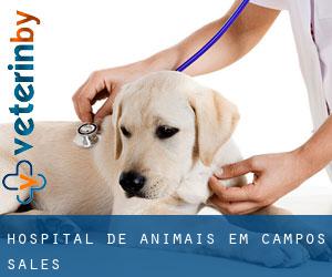 Hospital de animais em Campos Sales