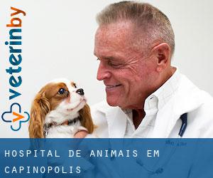 Hospital de animais em Capinópolis