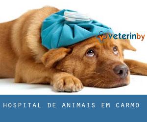 Hospital de animais em Carmo