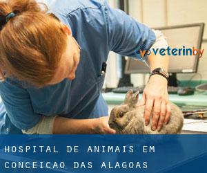 Hospital de animais em Conceição das Alagoas Hospital de animais em Conceição das Alagoas