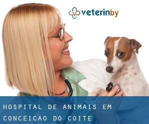 Hospital de animais em Conceição do Coité