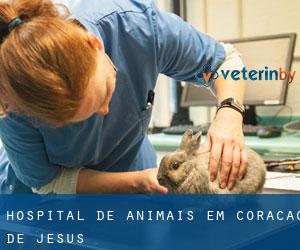 Hospital de animais em Coração de Jesus