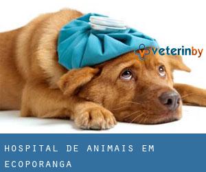 Hospital de animais em Ecoporanga