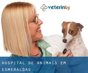 Hospital de animais em Esmeraldas