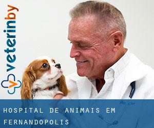 Hospital de animais em Fernandópolis