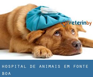 Hospital de animais em Fonte Boa