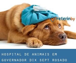 Hospital de animais em Governador Dix-Sept Rosado