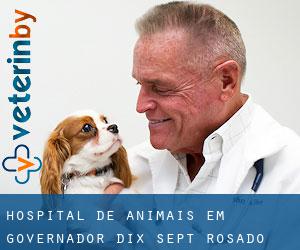 Hospital de animais em Governador Dix-Sept Rosado