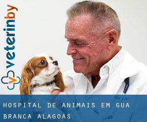 Hospital de animais em Água Branca (Alagoas)