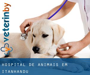 Hospital de animais em Itanhandu Hospital de animais em Itanhandu