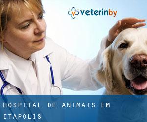 Hospital de animais em Itápolis