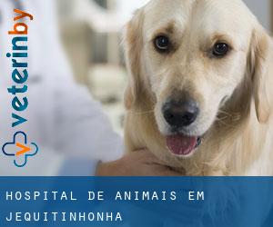 Hospital de animais em Jequitinhonha