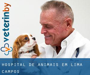 Hospital de animais em Lima Campos